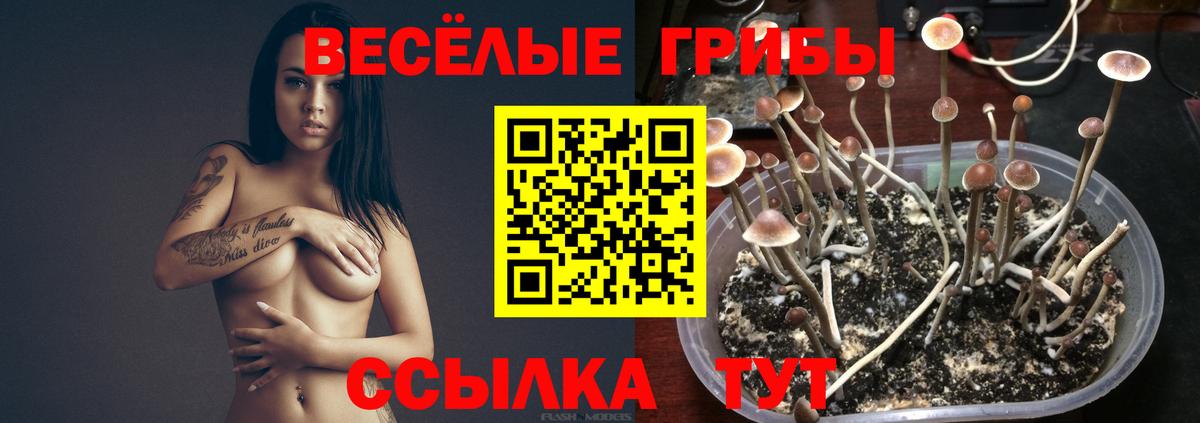Набережные Челны  купить наркоту  Вход с VPN  Галлюциногенные грибы ЛСД 